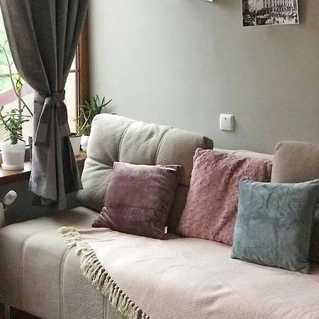 Apartmán Studio_16A Černovice Exteriér fotografie