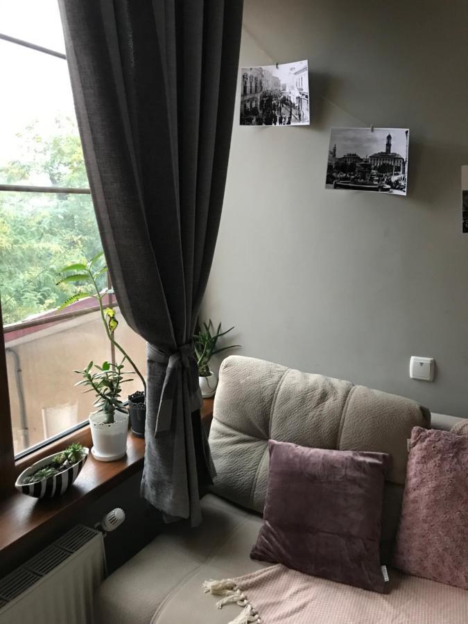 Apartmán Studio_16A Černovice Exteriér fotografie