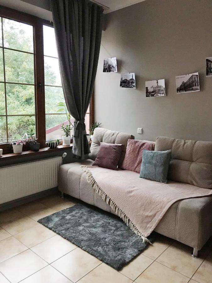 Apartmán Studio_16A Černovice Exteriér fotografie